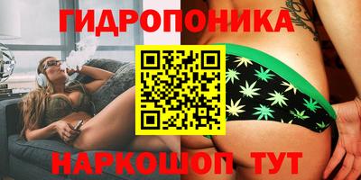a pvp Заволжье