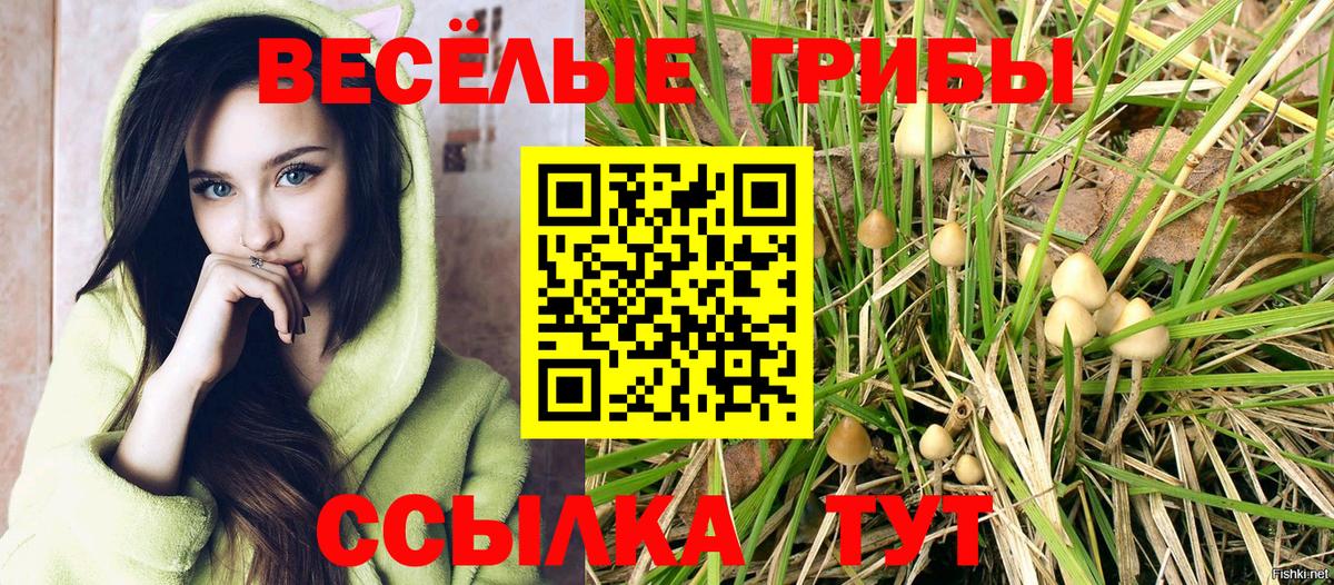 купить наркотики сайты  Вход с VPN  Бирск  Псилоцибиновые грибы Psilocybe 